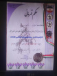 کسب مدال‌های افتخار در مسابقات کشتی قهرمانی آزاد استان