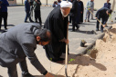 کاشت ۱۶۸ نهال مثمر به مناسبت چهلمین روز بزرگداشت رهبر معظم انقلاب اسلامی و گرامیداشت شهدای دانش‌آموز شهرستان میناب در دانشگاه صنعتی بیرجند